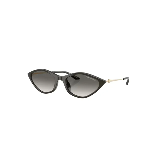 Солнцезащитные очки Armani Exchange AX4152SU
