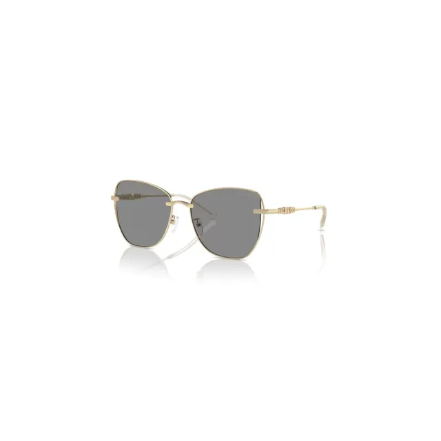 Солнцезащитные очки Michael Kors MK1158D