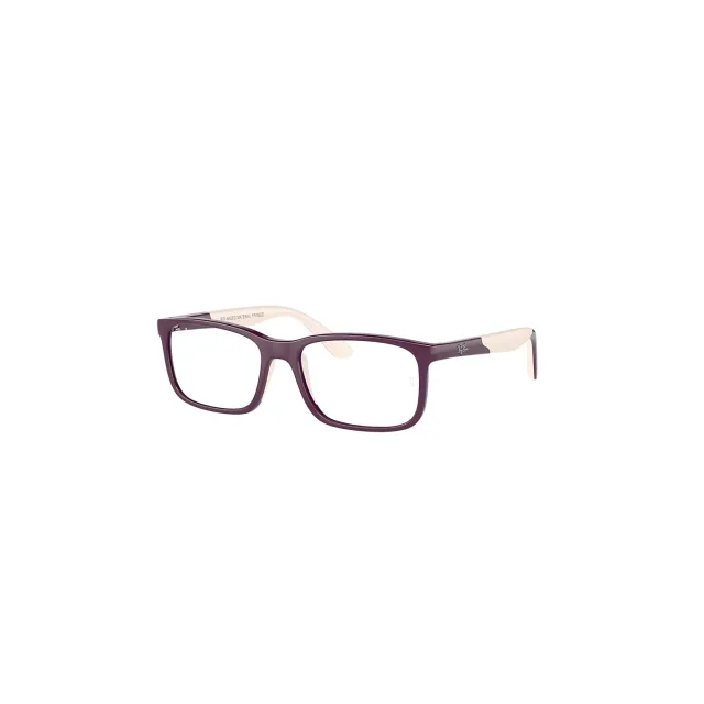 Оправа Ray-Ban RB1621