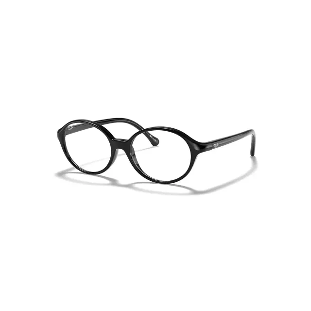 Оправа Ray-Ban RB1901