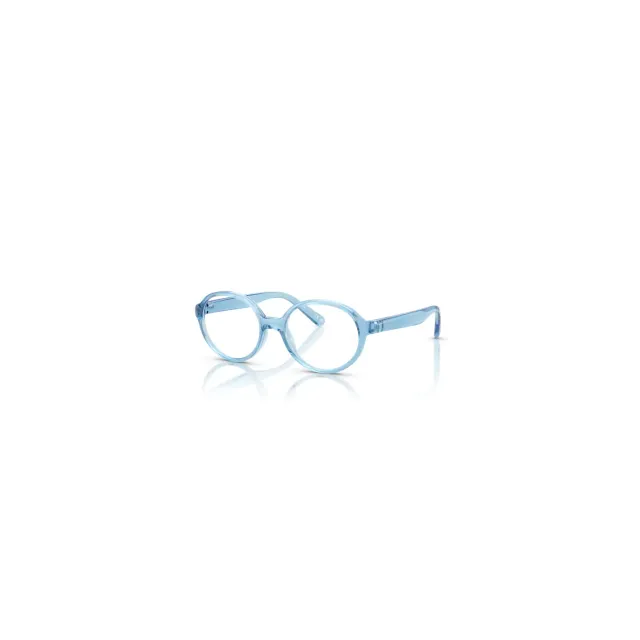Оправа Ray-Ban RB1905