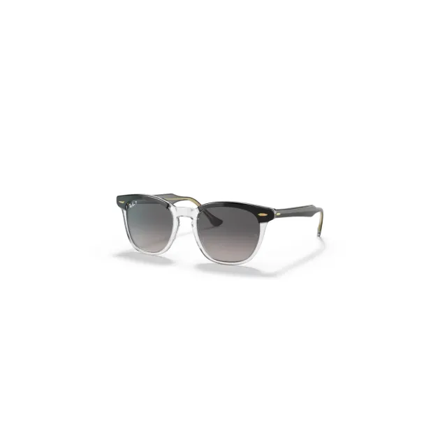 Солнцезащитные очки Ray-Ban RB22981