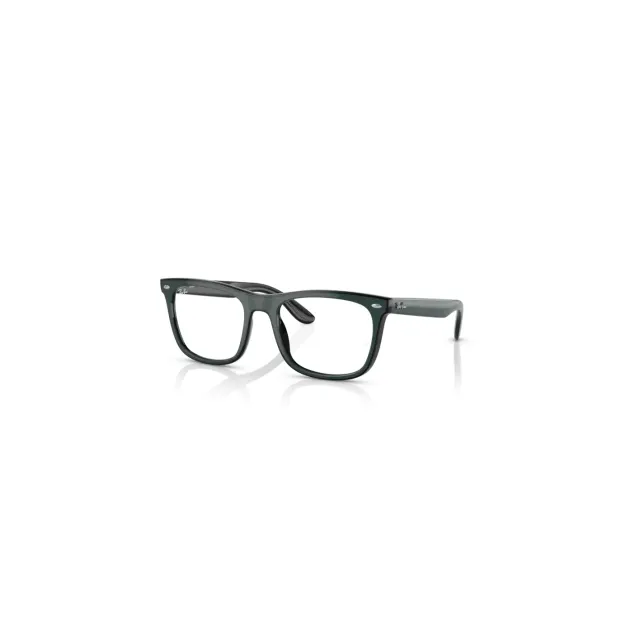 Оправа Ray-Ban RB7209