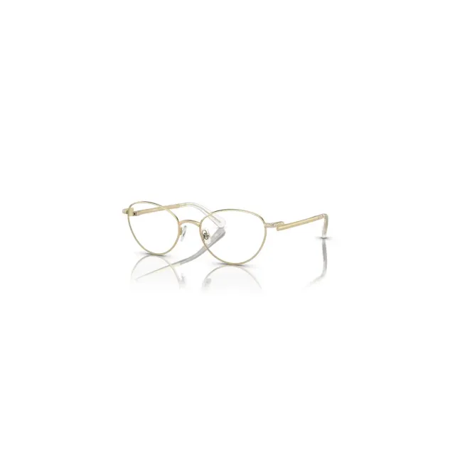 Оправа Swarovski SK1002