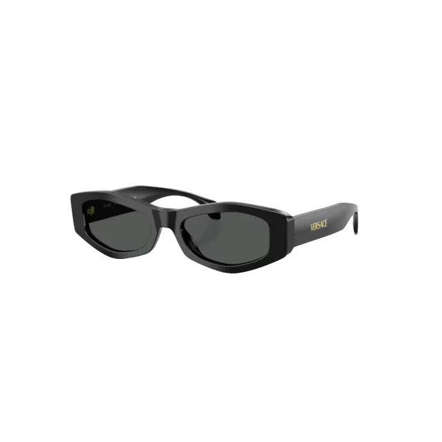 Солнцезащитные очки Versace VE4487